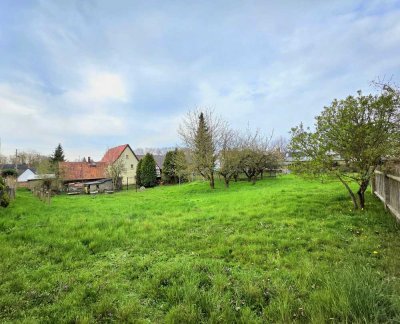 Haus mit großem Grundstück in ruhiger Lage (Großbraunshain)