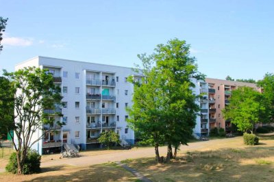 Waldesruh - schöne Wohnung im Grünen