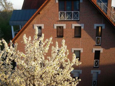 Helles 1-Zi.-App. mit Sonnenbalkon in ruhiger Lage in Meerbusch-Strümp