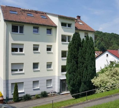 Moderne  2-Zimmer  Dachwohnung in Bad Orb