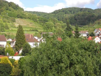 3-ZKB Erdgeschoss-Wohnung, 2 Balkone, KFZ-Stellplatz in Leutershausen Feldrandlage frei ab 1.9.2025