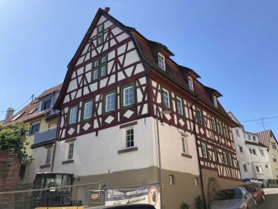 Idyllische 2,5-Zimmer-Wohnung mit Balkon und EBK in Vaihingen an der Enz
