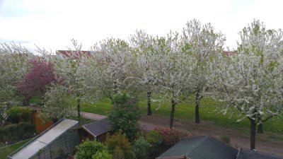 Möblierte Zweizimmer-Wohnung in Neuss-Allerheiligen mit Tiefgaragenstellplatz