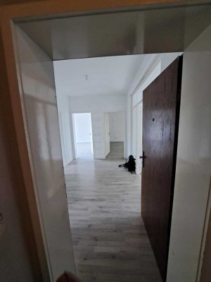 helle  3 Zimmer Wohnung