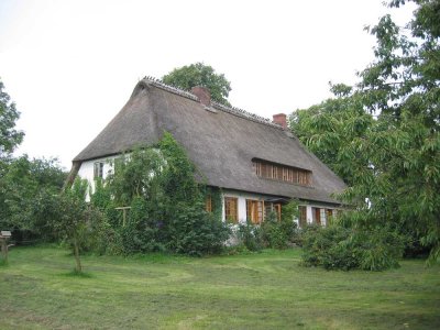 Galerie-Wohnung unter Reet in idyllischer, ruhiger Alleinlage