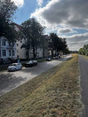Dachgeschoßwohnung Elblick auf Alte Elbe