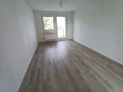 Sonnenplatz gesucht? Hier ist er!