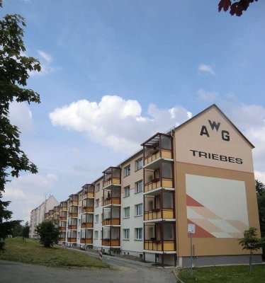 Die erste eigene Wohnung - 1-Raum-Wohnung mit Blick ins Grüne