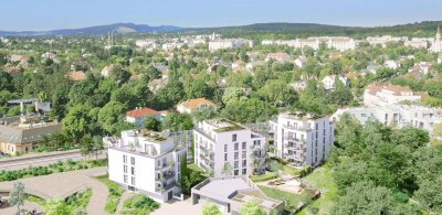 "DAS NOAH+" PROVISIONSFREI