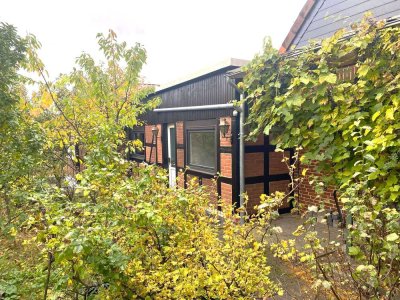 Schwarmstedt, Nähe Bhf, 4-Zi.-Whg. ebenerdig, großer Balkon, bodentiefe Dusche, ALLEINMIETER im Haus