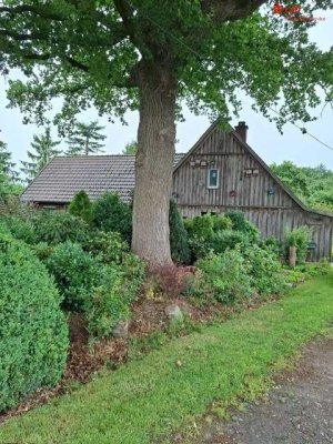 Idylle pur - Wohnen im Außenbereich in  Visbek/Endel