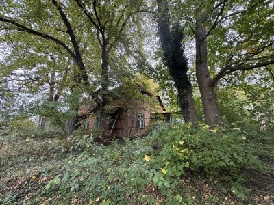 Charmantes Fachwerkhaus im Grünen