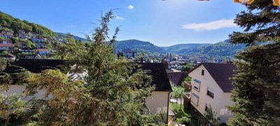 Über den Dächern von Eberbach