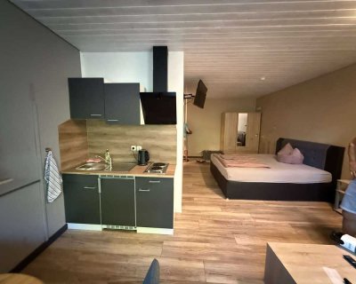 Möblierte kleine 1-Raum-Wohnung mit offener Küche, Duschbad und Flur neu saniert (2025) zu vermieten