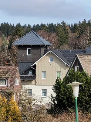 Schöne 1,5-Zimmer-DG-Wohnung in Braunlage Innenstadt
