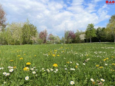 Quartier am Park: Barrierefreie Wohnung im obersten Stock mit Ausblick