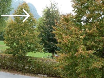 ALTES DORF  -  MIT BLICK IN DEN STADTPARK !!!