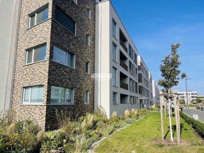 antaris Immobilien GmbH **3-Zimmer mit Loggia – Modern, ruhig, bezugsfertig**