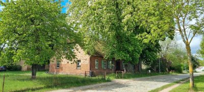 Mama, ein Pferdchen, das wär mein Paradies - Bauernhof in Ostseenähe