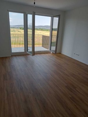 Neuwertige 2 - Zimmerwohnung mit EBK in Ladenburg zu vermieten
