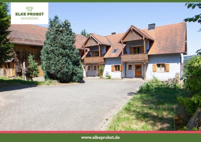 Charmante Hofstelle mit Zukauf von ca. 5 ha Wiesen
