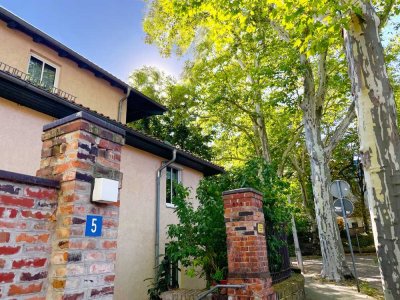 Erdgeschosswohnung mit kleiner Terrasse im Grünen
