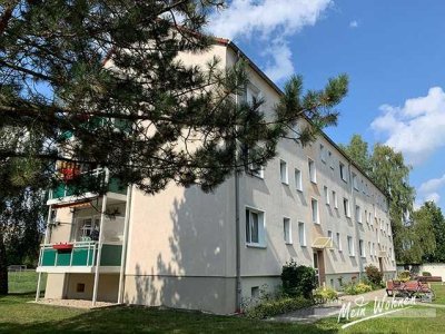 3-Raum-Wohnung mit Balkon zu vermieten!