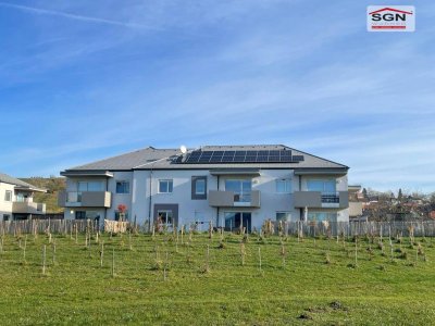 Neubauprojekt in Altlichtenwarth: Moderne 3-Zimmer Wohnung mit Terrasse, Garten und Carport
