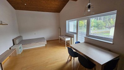 Großzügige Garconniere (Dachgeschoß) mit schönem Ausblick in Mutters zu vermieten!