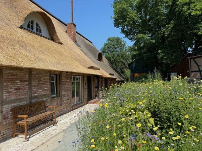 Wohnen auf der Sonnenseite des Lebens - stilvolle Erdgeschoss-Wohnung auf historischem Resthof