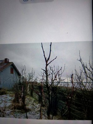 Spezielles Garcionairenhaus mit Dachboden und weitsicht Ortslage