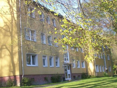 Sofort beziehbar - 3-Zi.-Wohnung (ID11036)