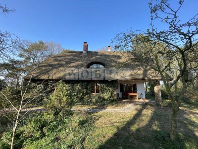 Reetdach-Idyll am Oderhaff - Ruhe und Natur pur - PROVISIONSFREI