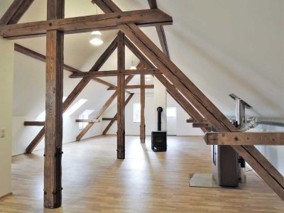 Außergewöhnliches Loft mit riesiger Dachterrasse sucht passenden Bewohner!