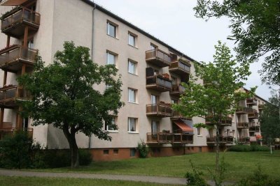 3 Raum Wohnung im grünen