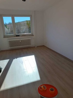 Kronshagen: Frisch renovierte 2-Zimmer-Wohnung mit Balkon und EBK in ruhiger Lage