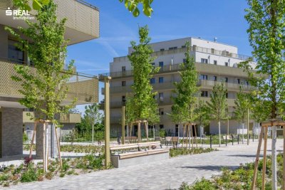 Hirschfeld - Ihr neues Zuhause im Grünen - anfragen, besichtigen, einziehen - 41 bis 96 m²