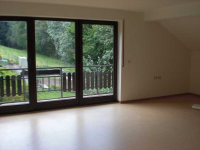 Charmantes 1-Zimmer-Appartement mit zwei Terrassen und Blick ins Grüne in Erbach