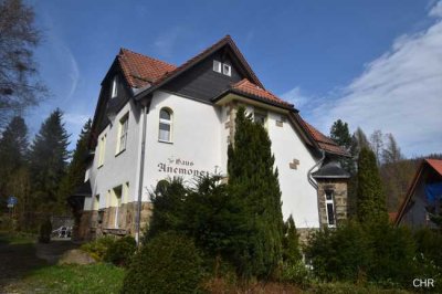Gemütliche Eigentumswohnung in einer ehem. Villa mit gewissem Charme