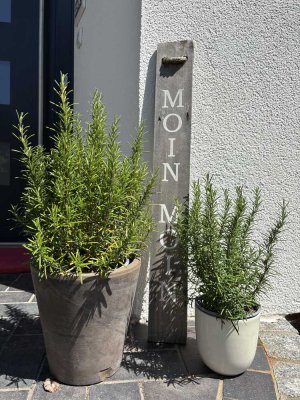 Einziehen und wohlfühlen – bezugsfertiger Bungalow mit sonnigem Garten
