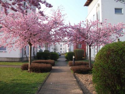 Helle & gepflegte Wohnung in ruhiger Lage – 2 Zimmer, 1. Etage