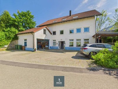 WOHNEN UND ARBEITEN - großes Einfamilienhaus mit Garten, Doppelgarage und Hof + Sauna