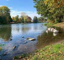 schöne gehobene 2-Zimmerwohnung in Fürstenwalde