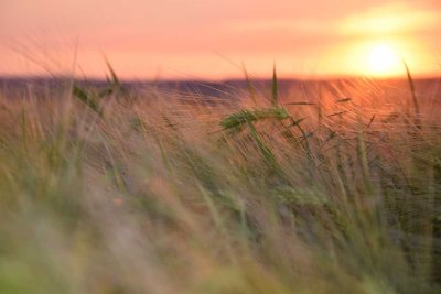 4-Zimmer-Wohnung auf dem Gutshof