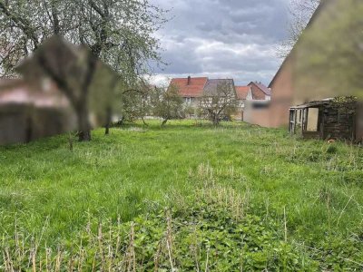 Übersichtlich, selbstbestimmt & variabel leben im Town & Country Eigenheim in Mühlhausen OT Grabe