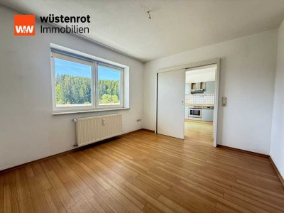 2-Zimmer Souterrainwohnung mit großem Südbalkon