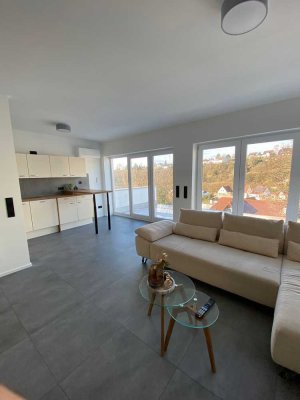 Freundliche, neuwertige 2-Zimmer-Wohnung mit luxuriöser Innenausstattung in Kaiserslautern