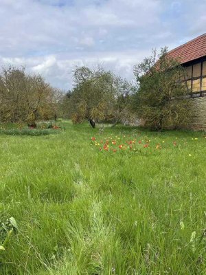 Ein Town & Country Haus, welches sich Ihren Lebensumständen anpasst in Mühlhausen OT Grabe