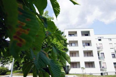 Karlsruhe-Neureut: Sonnige,freie 1 Zi.Wohnung mit Balkon im 1.OG eines gepflegten Mehrfamilienhauses