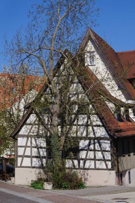 2 Zimmer inkl. EBK, Stadtmitte